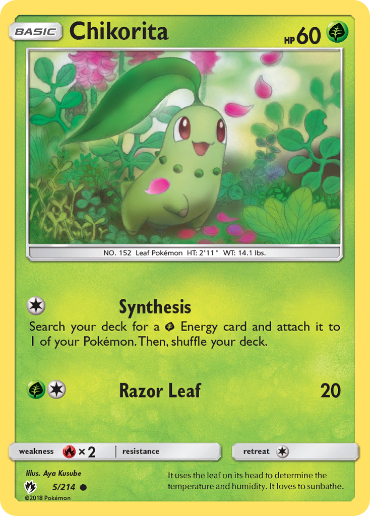 Chikorita card