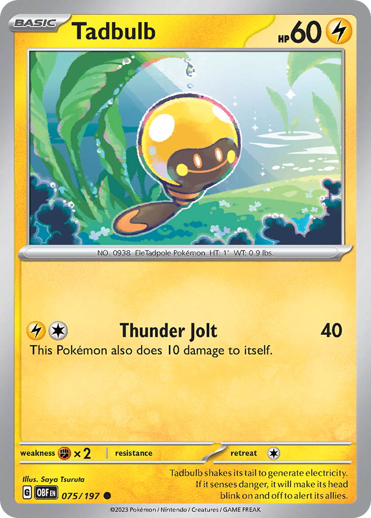 Tadbulb card