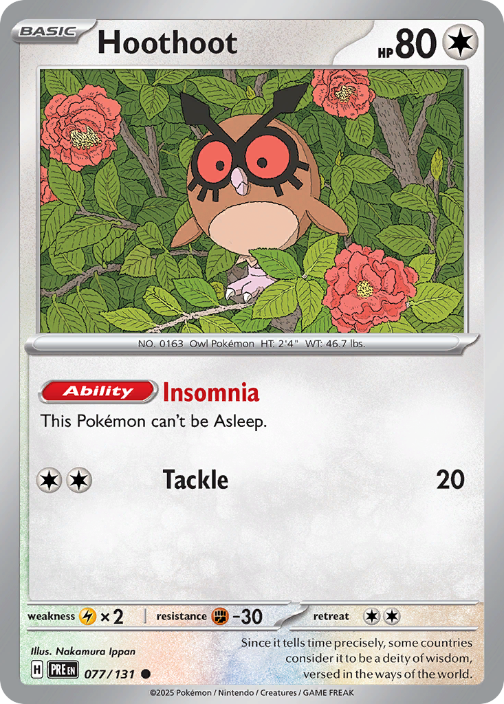 Hoothoot card